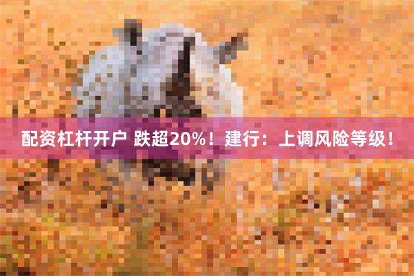 配资杠杆开户 跌超20%！建行：上调风险等级！