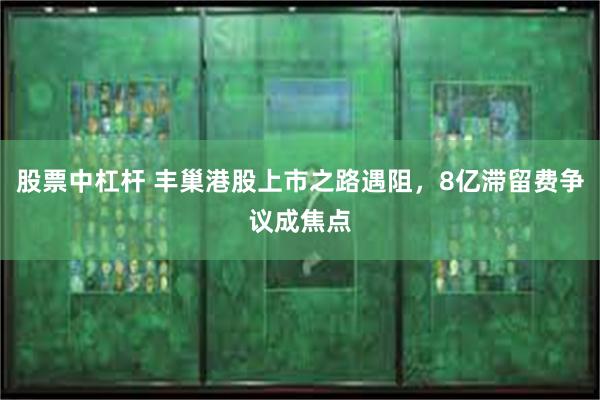 股票中杠杆 丰巢港股上市之路遇阻，8亿滞留费争议成焦点