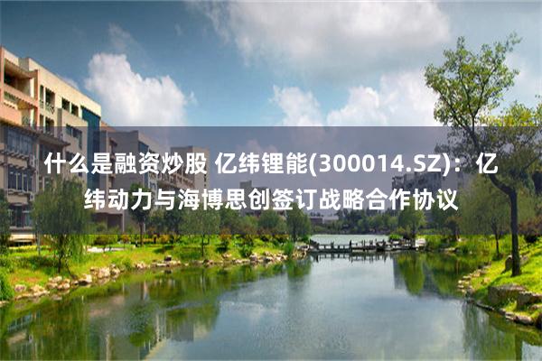 什么是融资炒股 亿纬锂能(300014.SZ)：亿纬动力与海博思创签订战略合作协议