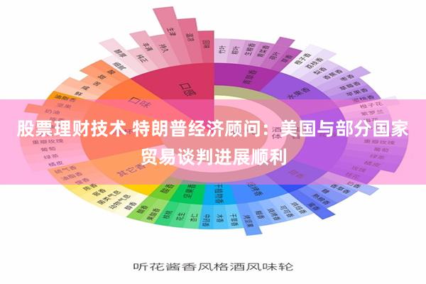 股票理财技术 特朗普经济顾问：美国与部分国家贸易谈判进展顺利