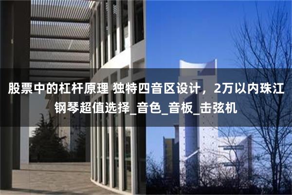 股票中的杠杆原理 独特四音区设计，2万以内珠江钢琴超值选择_音色_音板_击弦机