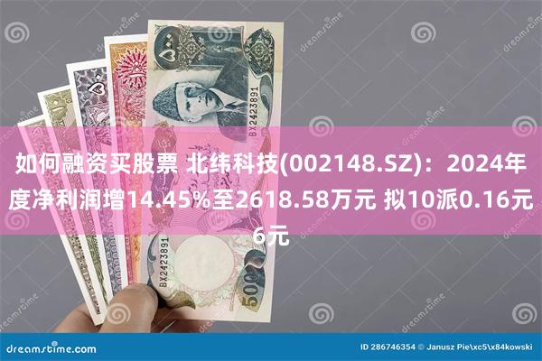 如何融资买股票 北纬科技(002148.SZ)：2024年度净利润增14.45%至2618.58万元 拟10派0.16元