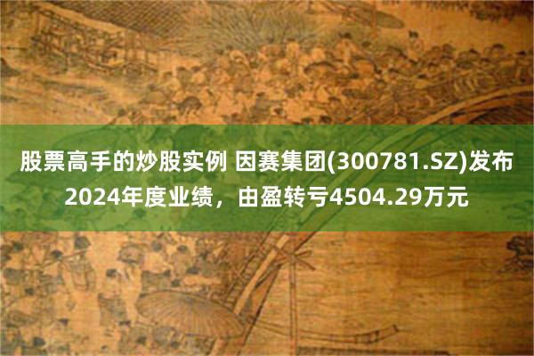 股票高手的炒股实例 因赛集团(300781.SZ)发布2024年度业绩，由盈转亏4504.29万元