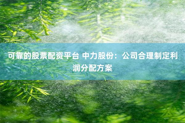 可靠的股票配资平台 中力股份：公司合理制定利润分配方案