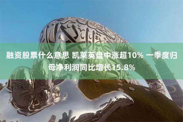 融资股票什么意思 凯莱英盘中涨超10% 一季度归母净利润同比增长15.8%