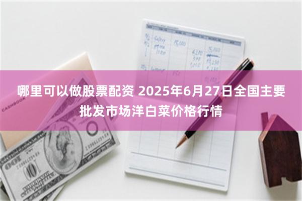 哪里可以做股票配资 2025年6月27日全国主要批发市场洋白菜价格行情