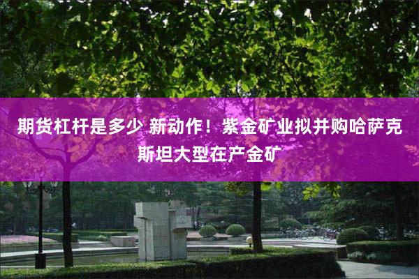 期货杠杆是多少 新动作！紫金矿业拟并购哈萨克斯坦大型在产金矿